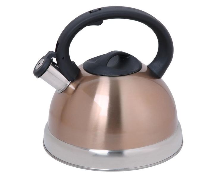 Portable/Foldable Mini Braai Stand