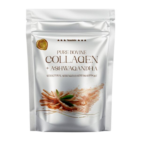 Women's Supré Royal Embellished Tee - White - Belle