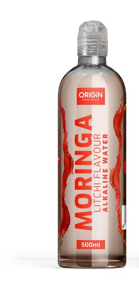 Black Canvass Ballet Bag